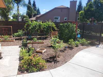 Overlooking Garden area