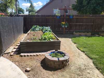 Strawberries, zuchini (3) yellow squash, trailing tomatos hanging baskets and brussel sprout leftovers