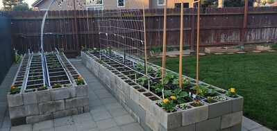2022 03 26 New Raised Beds