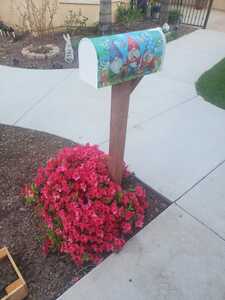 2022 03 26 Garden Tool Shed