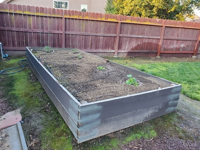 Raised Bed 2020 04 15