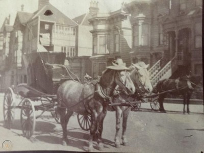 unusual horse hat pulling sleek 1 a4a10cdcecf57f762c1243e59391a538